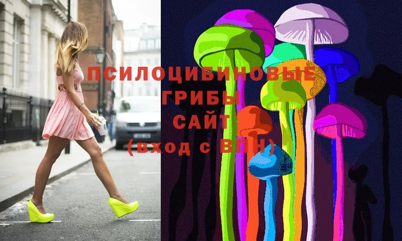 Галлюциногенные грибы Psilocybine cubensis  Волчанск 